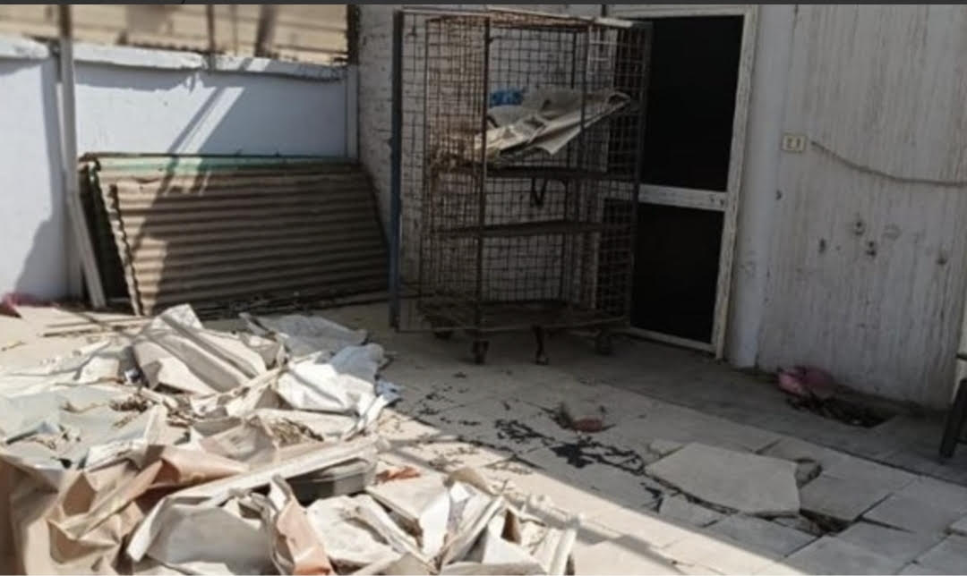 سقوط جزء من سقف فصل بمدرسة ليسيه الحرية بالمعادي وإصابة طالبين