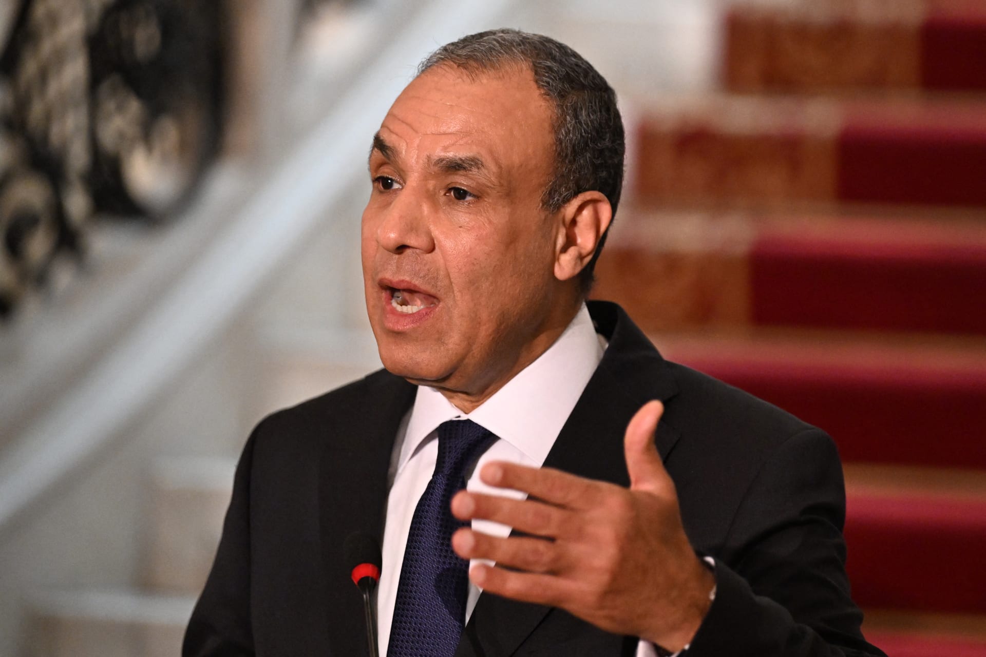 بدر عبد العاطي من اجتماع “بريكس”: مصر ترفض انتهاك سيادة الدول العربية وتدعو للحلول السلمية