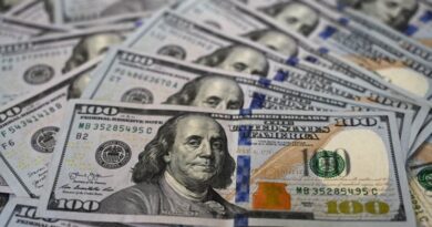 سعر الدولار
