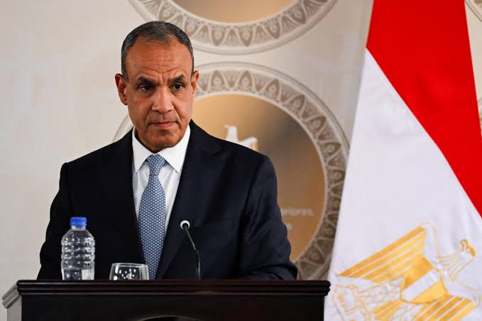 وزير الخارجية المصري يلتقي الرئيس التركي في إسطنبول بتكليف من الرئيس السيسي